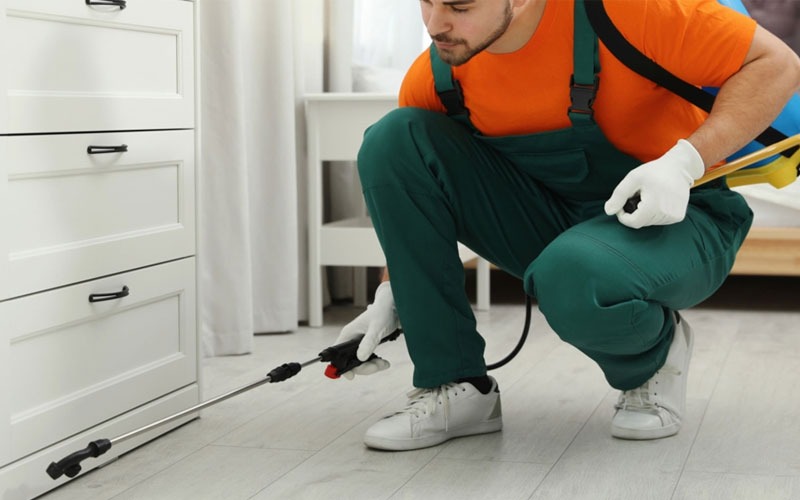 Pest Control Service